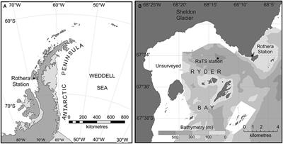 Assessing Drivers of Coastal Primary Production in Northern Marguerite Bay, Antarctica